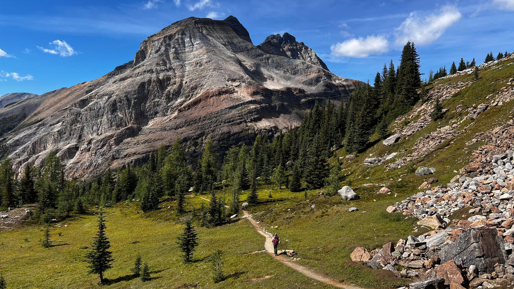 Hiking at Lake O’Hara: A Family Adventure to Remember